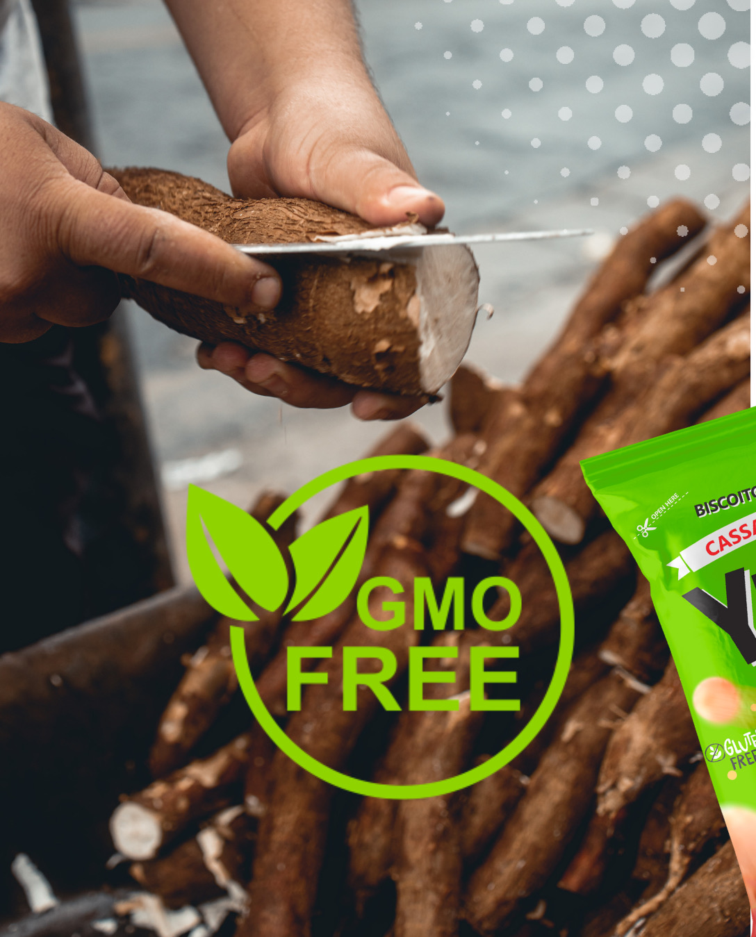 Leia mais sobre o artigo GMO Free Product